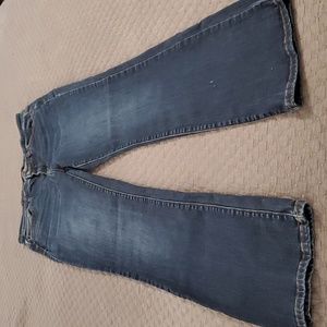 Judy Blue 13/31 Boot Cut